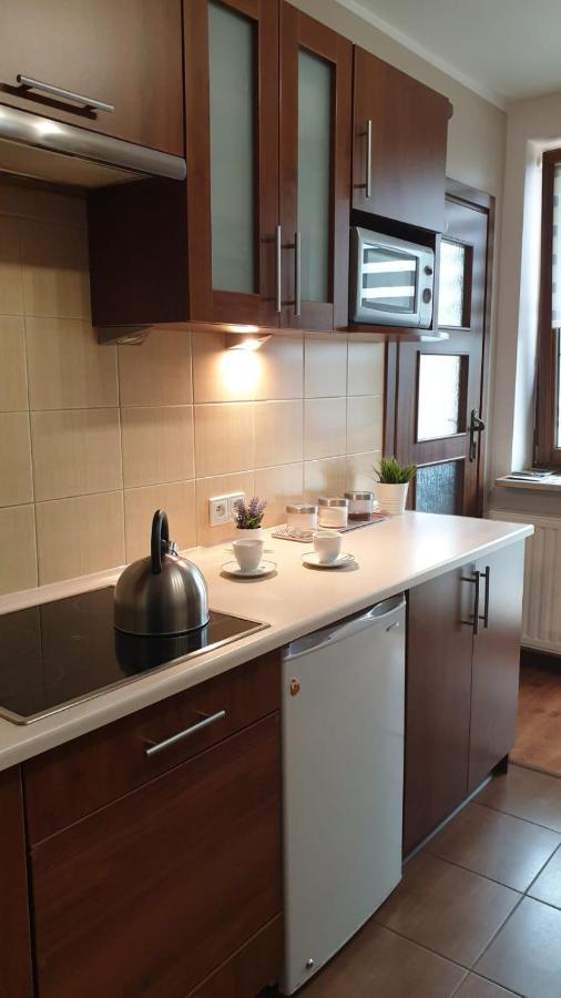 Kaizen Apartament Криниця-Здруй Екстер'єр фото